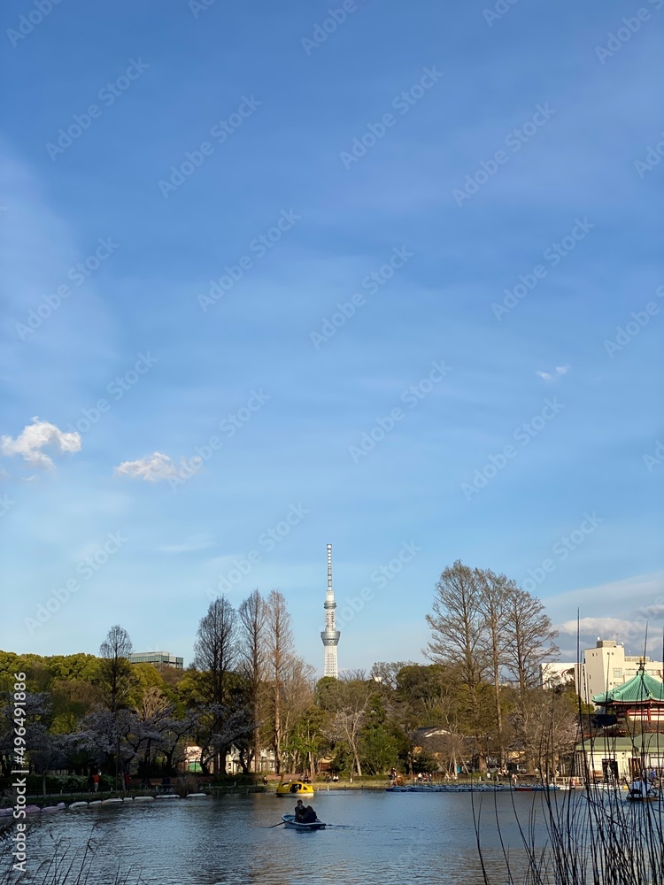 daytime Tokyo city view, with skytree tower & 