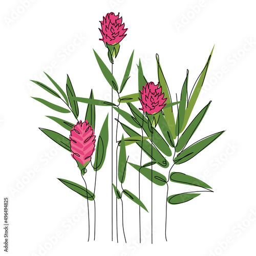 Tropical Isolate composition of exotic bamboo leaves, ginger flower, hawaii flower. Outline vector illustration Biophilia can be use to wedding invitation in hand drawn one line art style.