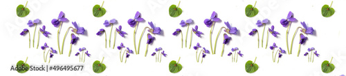 Flower patern. Panorama pattern of violet and green leaves on a white backgro...