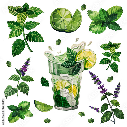 Mohito Watercolor illustration. Mojito cocktail. Mint leaves, mint flower, lime, ice cubes for drinks, cocktails photo
