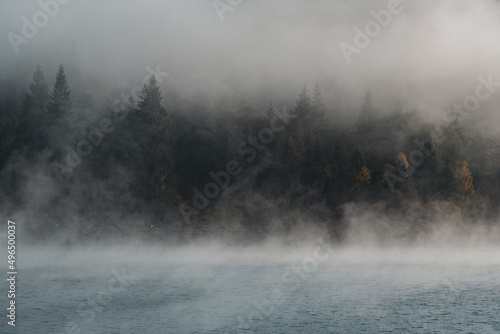 Cold summer morning in the forest with steamy lake, forest reflection and mist on the water surface. Dramatic view during a beautiful foggy morning with trees almost covered in fog