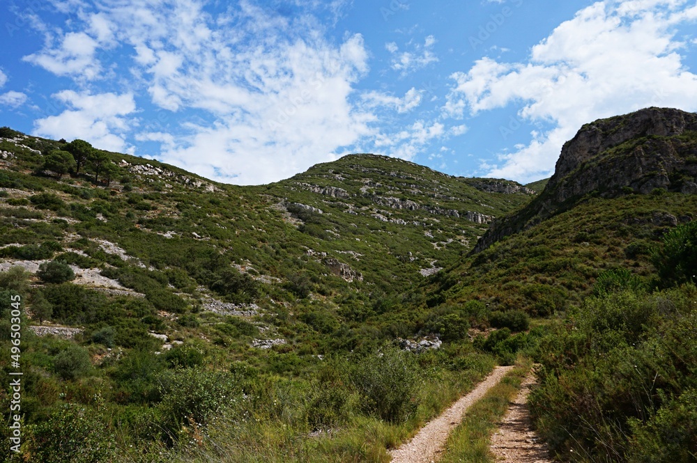 Naklejka premium nature