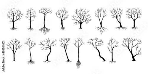 Naked trees silhouettes. Black bushes and trucks with bare branches. Winter or autumn plants with roots. Cold season nature. Dead birch or oak stems. Vector dry woodland elements set
