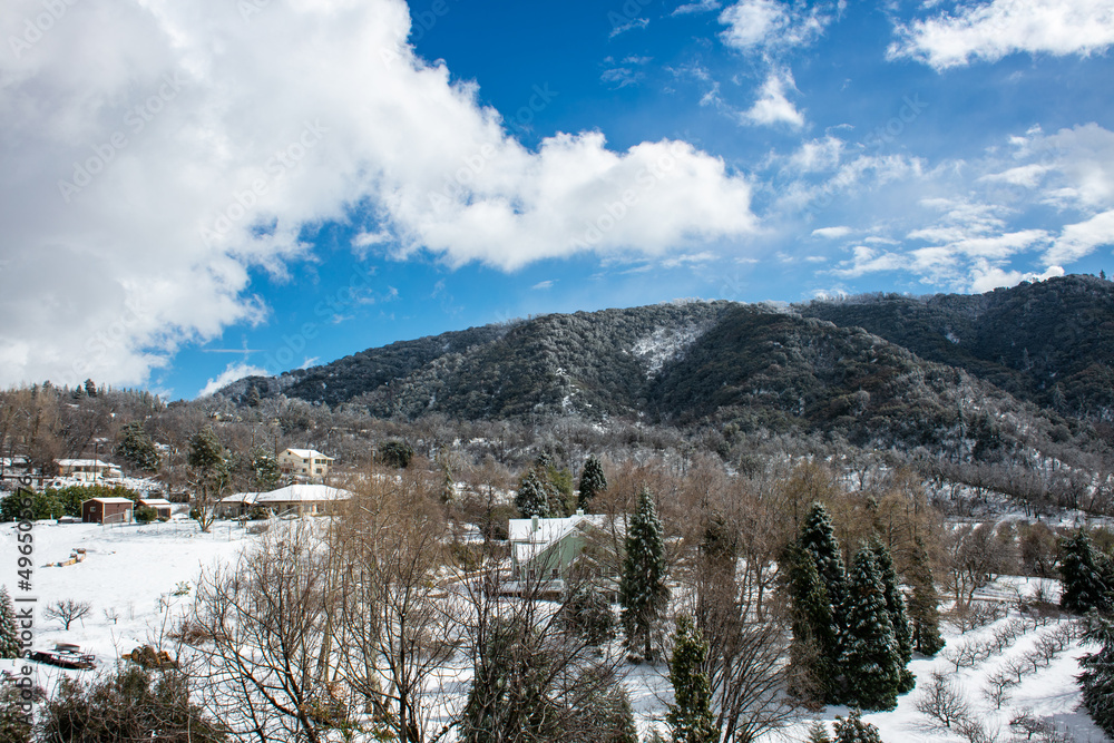 Snowy Scene in the Southern California Mountains after a Snow Storm in Oak Glen, California