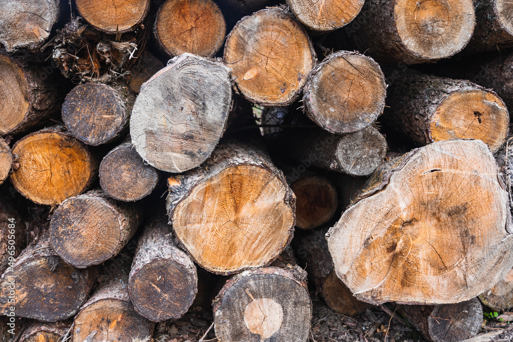 stack of firewood