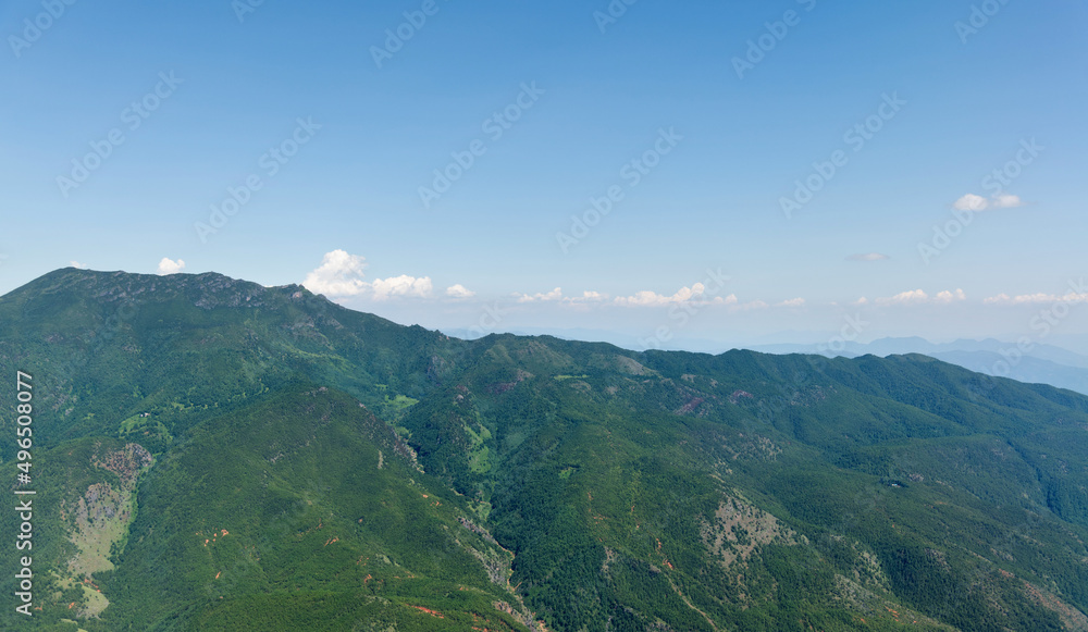 Aerial view of mountains covered with forests in summer