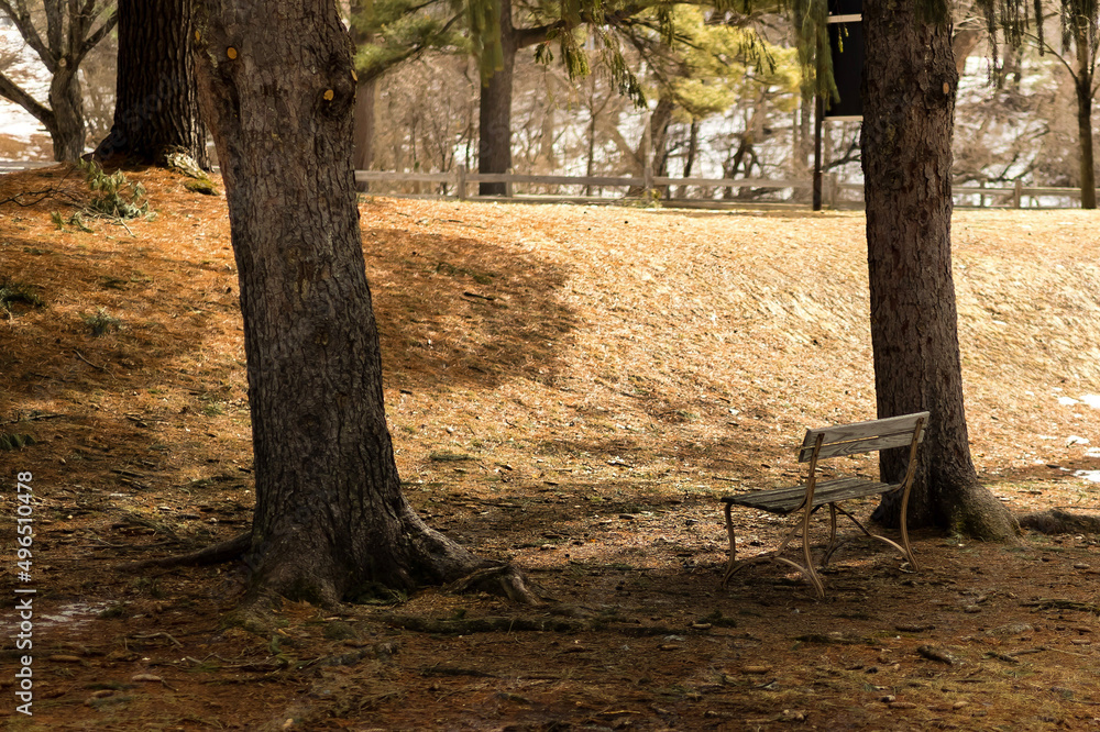 Park Bench Park Bench