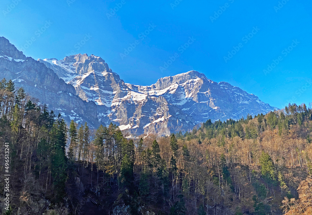 Obraz premium Mixed subalpine forests and a variety of trees in early spring on the slopes of the alpine mountains around the Klöntal mountain valley (Kloental or Klon valley) - Canton of Glarus, Switzerland