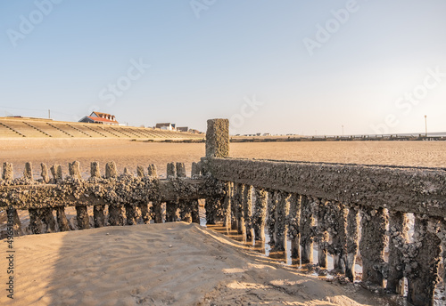 Wooden groynes and sea breakers on Heacham beach, North Norfolk coast. These wooden structures protect the fragile beach from coastal erosion photo