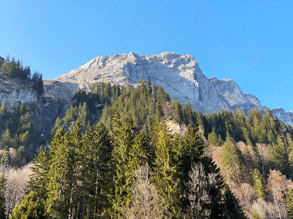 Mixed subalpine forests and a variety of trees in early spring on the slopes of the alpine mountains around the Klöntal mountain valley (Kloental or Klon valley) - Canton of Glarus, Switzerland