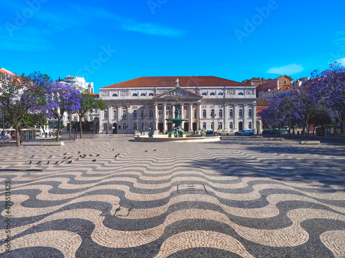Rossio square in Lisbon in Portugal with purple blooming Jacaranda mimosifolia trees photo