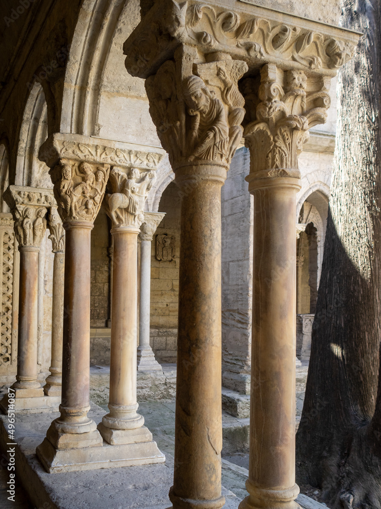 Carving details of St. Trophime cloister, Arles