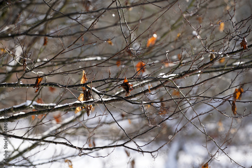 Winter with lots of snow in Bavaria is beautiful again
Winter with lots of snow in Bavaria is beautiful again
