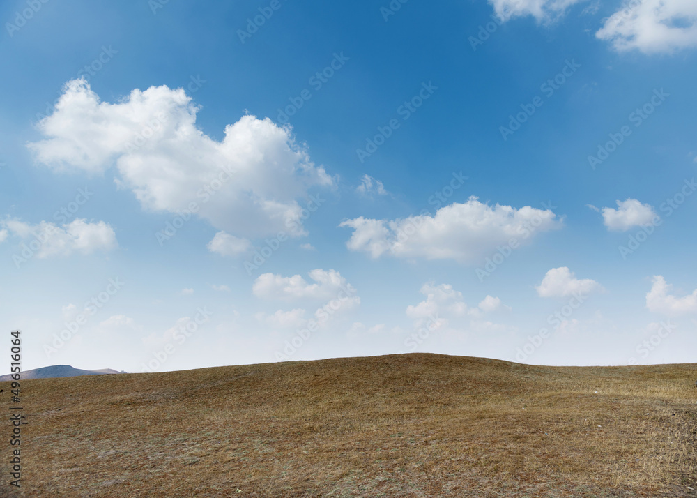 Dry grass on the hill in autumn