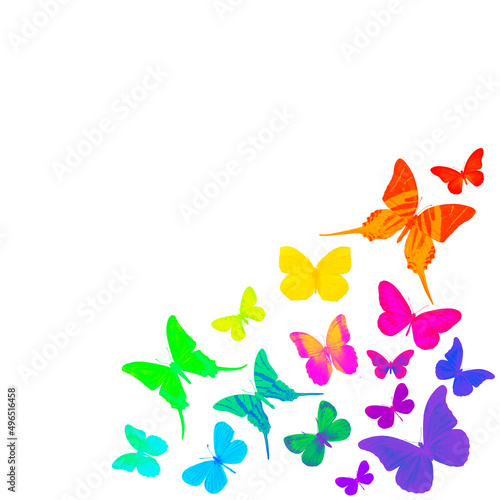 rainbow butterflies  silhouette of butterfly