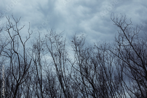 clouds in the sky