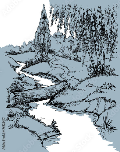 Vector landscape. Birch trees near the trail over the creek