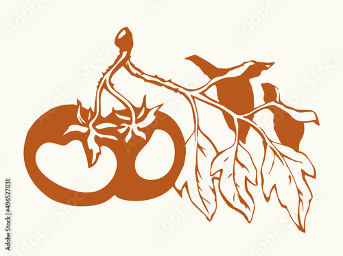 Tomatoes. Vector drawing icon sign