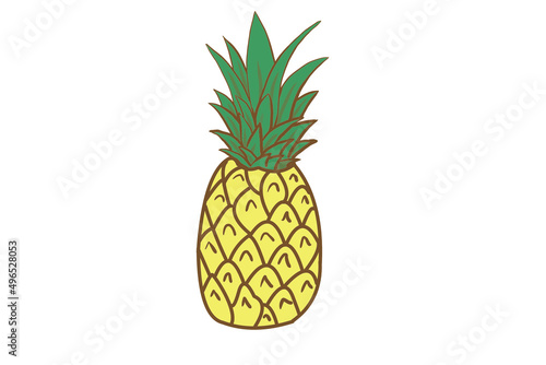 Vector drawing with pineapple or plan pineapple fruits in yellow and green leaf isolated on white background by tropical fruits