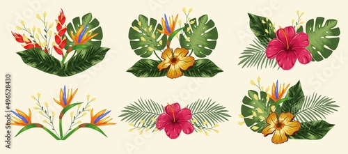 Set design element with tropical flowers hibiscus, heliconia and strelitzia, leaves palm and monstera. Vector on a light background photo