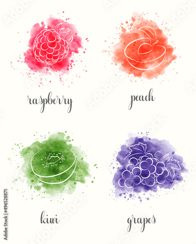 Watercolor fruits, set. Raspberry, Peach, Kiwi, Grapes.
