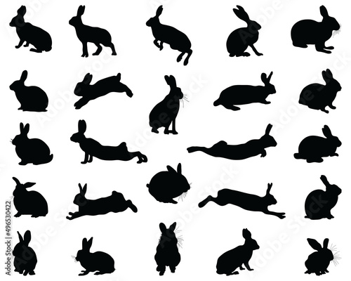 Black silhouettes of rabbits on white background 
