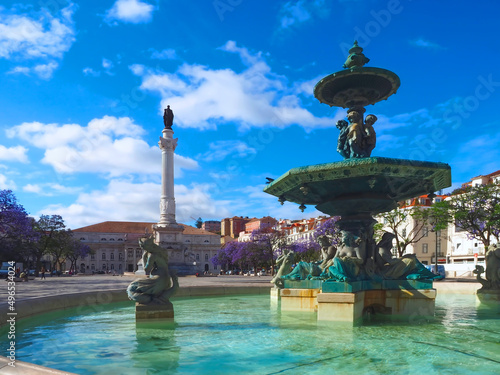 Rossio square in Lisbon in Portugal with purple blooming Jacaranda mimosifolia trees