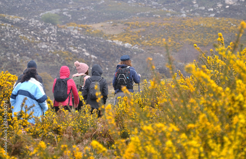 Pessoas a caminhar numa serra com flores amarelas, trilho, trekking, caminheiros