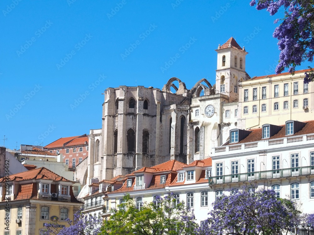 Rossio square in Lisbon in Portugal with purple blooming Jacaranda mimosifolia trees Rossio square in Lisbon in Portugal with purple blooming Jacaranda mimosifolia trees
