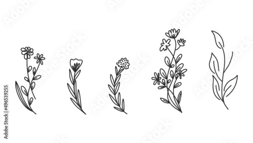 Flower Floral line hand drawn tribal and calligraphic deco border vector set isolated on white background. Vector Illustration EPS 10