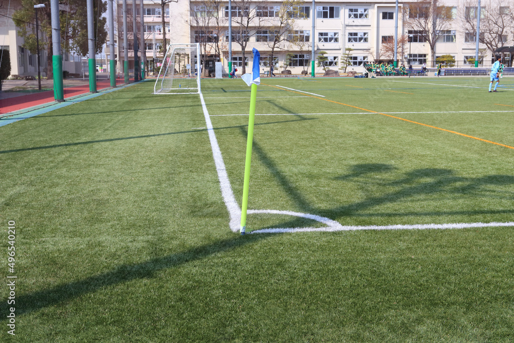 Fototapeta premium 人工芝 サッカーレフリー Artificial turf soccer referee