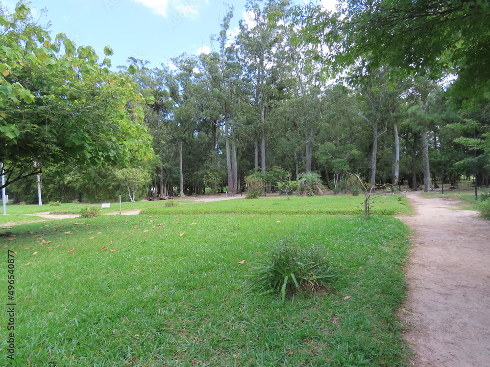 Fototapeta premium path in the park