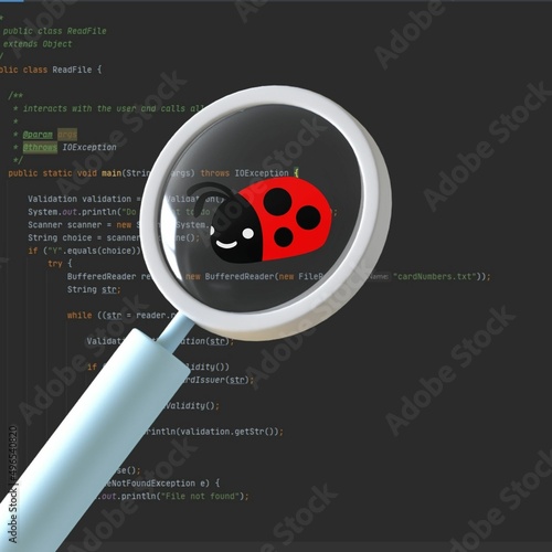 Searshing bugs in the programmer's code