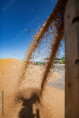 Konstfotografi Wheat grain drying machine at work. Spring sowing campaign.