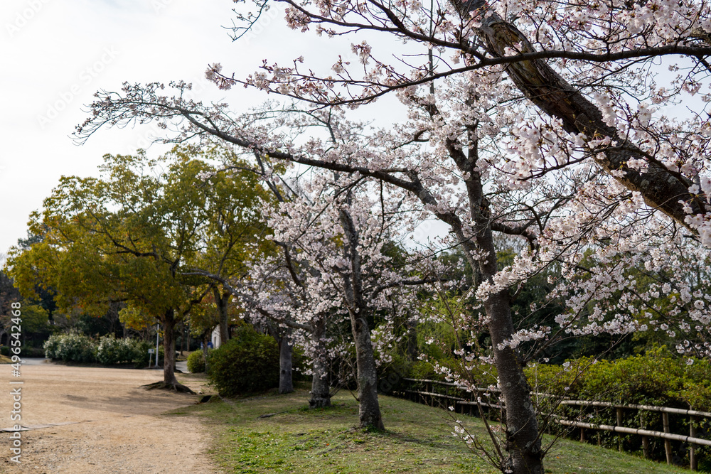 日岡山公園 日岡山公園