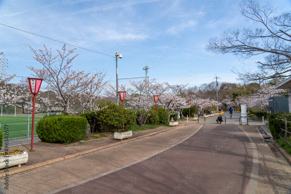 Naklejka premium 日岡山公園