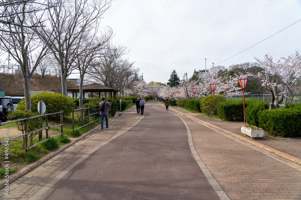 日岡山公園 日岡山公園