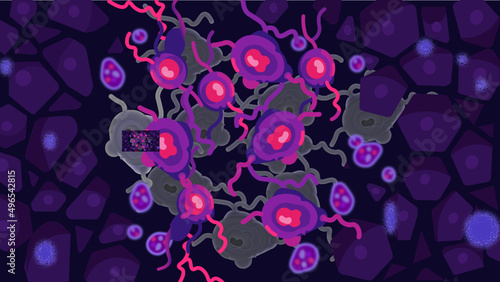 Cells and cancer 