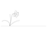 Continuous one simple single abstract line drawing of daffodil flower icon in silhouette on a white background. Linear stylized. Vector illustration.