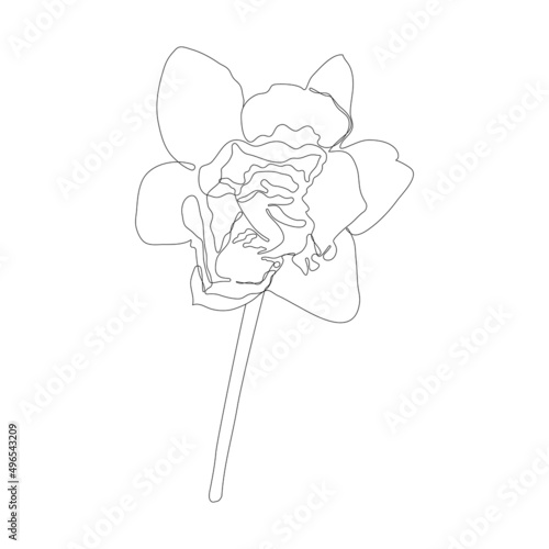 Continuous one simple single abstract line drawing of daffodil flower icon in silhouette on a white background. Linear stylized. Vector illustration.