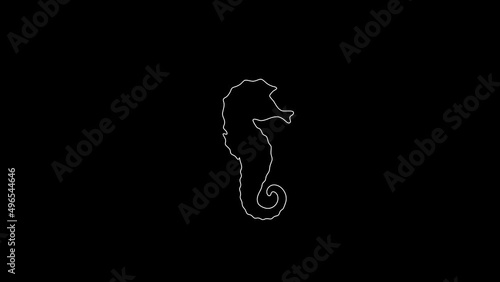 white linear sea ​​Horse silhouette. the picture appears and disappears on a black background.
