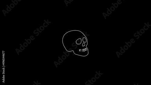 white linear skull silhouette. the picture appears and disappears on a black background.
