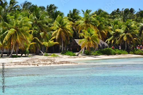 Fototapeta Naklejka Na Ścianę i Meble -  Saona Island, Dominican Republic - Carribean coast, beach with palm trees