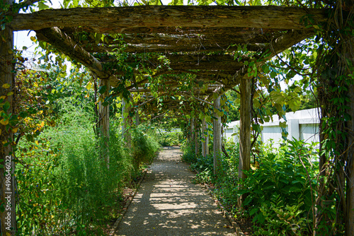 Carnton Plantation Garden © Sidni