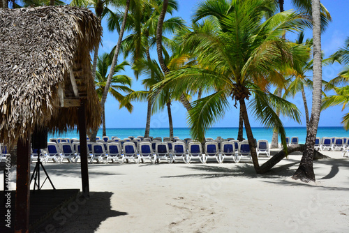 Saona Island  Dominican Republic  Carribean coast  beach with palm trees  white sand and sunbeds