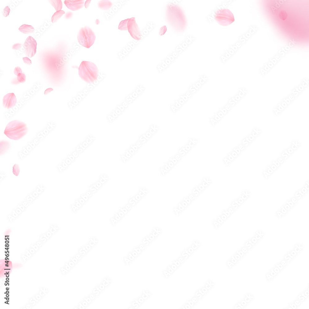 Sakura petals falling down. Romantic pink flowers corner. Flying petals on white square background. Love, romance concept. Ravishing wedding invitation.
