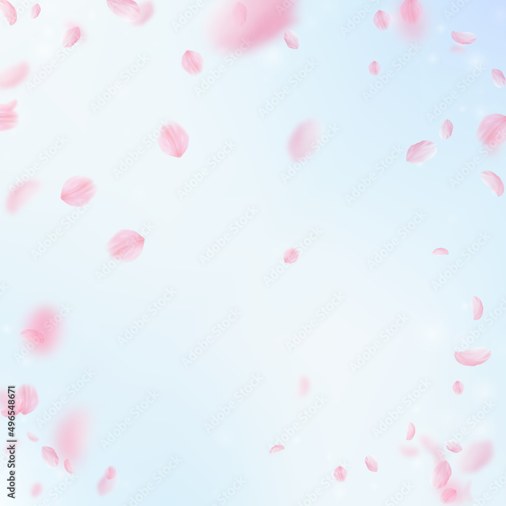 Sakura petals falling down. Romantic pink flowers vignette. Flying petals on blue sky square background. Love, romance concept. Energetic wedding invitation.