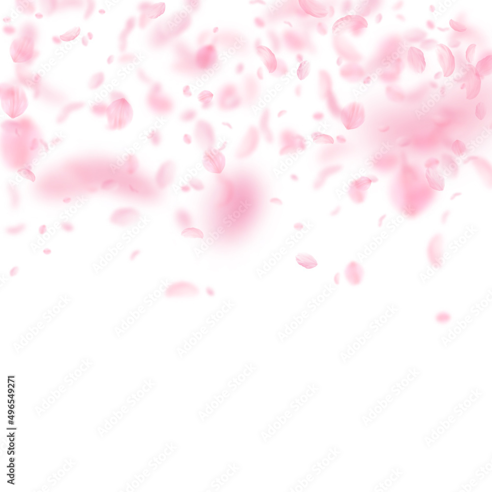 Sakura petals falling down. Romantic pink flowers gradient. Flying petals on white square background. Love, romance concept. Quaint wedding invitation.