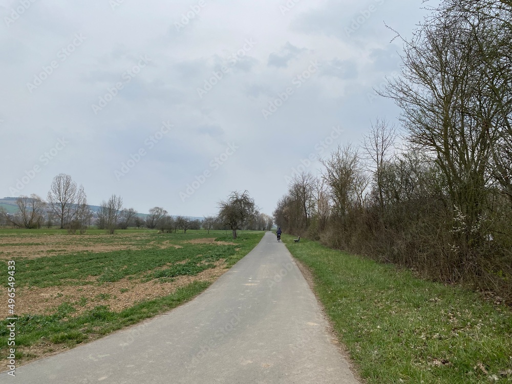 ドイツののどかな自転車道