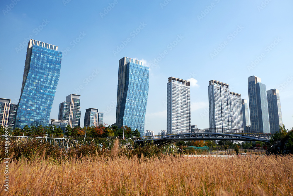 Obraz premium Songdo Central Park in Incheon, South Korea. 
